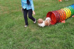 20220820_154011-rotated