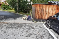 IMG-20220818-WA0046