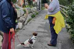IMG-20220818-WA0069